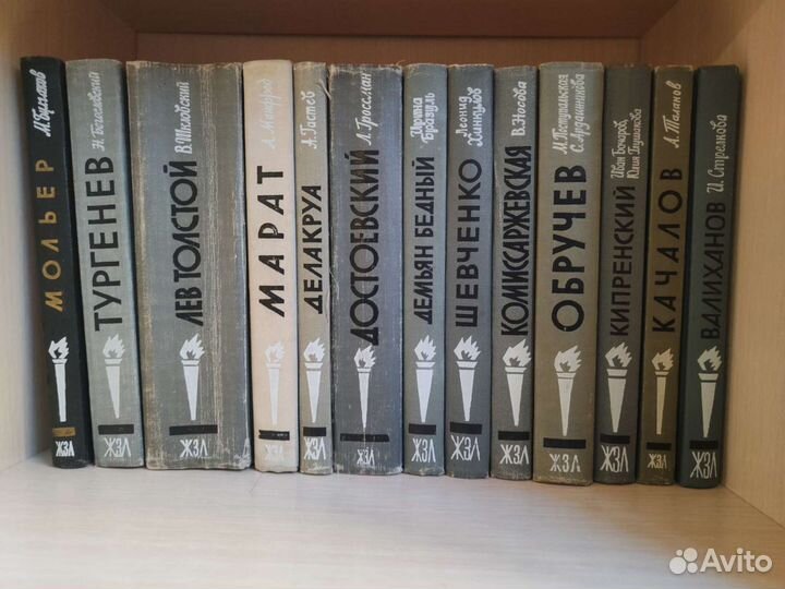 Книги серии жзл (Жизнь замечательных людей)