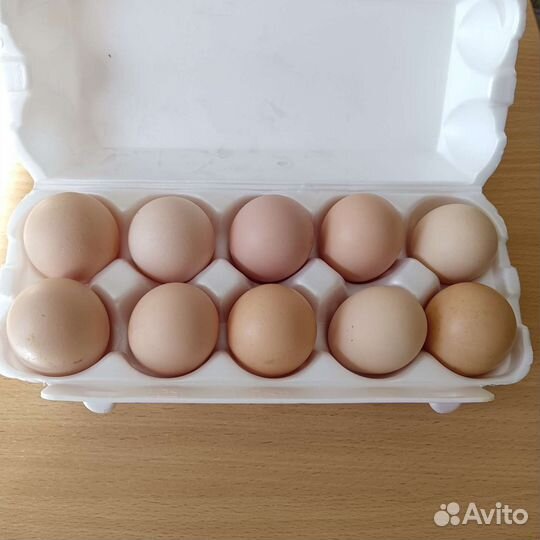 Домашние куриные яйца