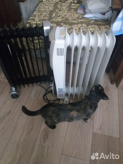 Масляный обогреватель радиатор
