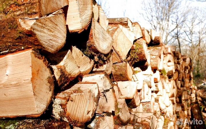 Дрова береза осина ольха