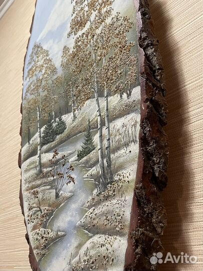 Катина на срезе дерева