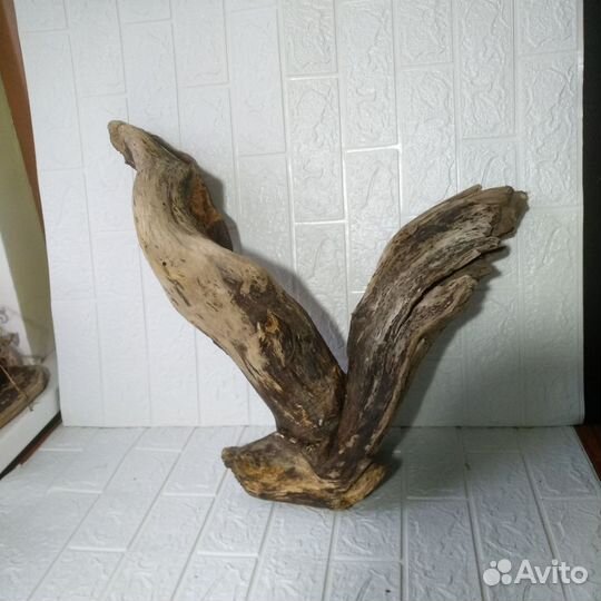 Дрифтвуд коряга