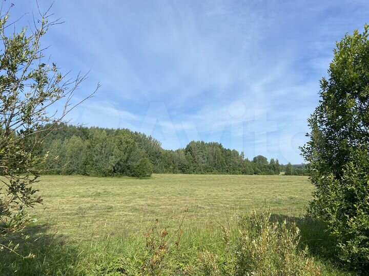 Участок 3 га (СНТ, ДНП)