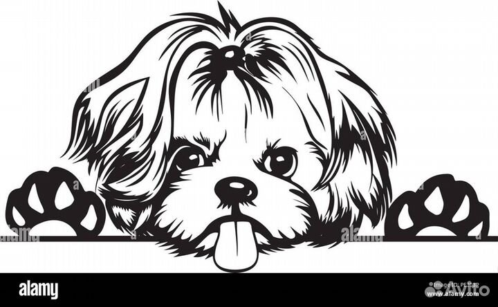 Груминг собак