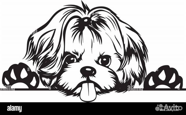 Груминг собак