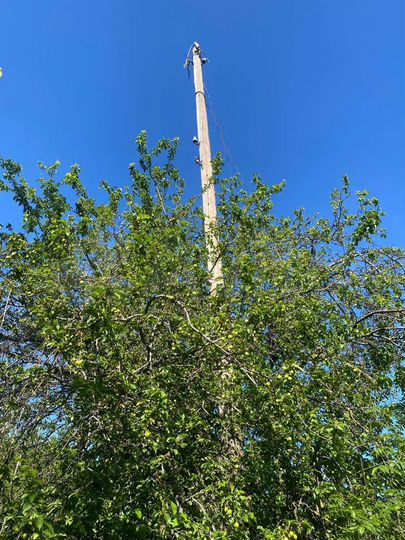 Участок 11 сот. (ИЖС)