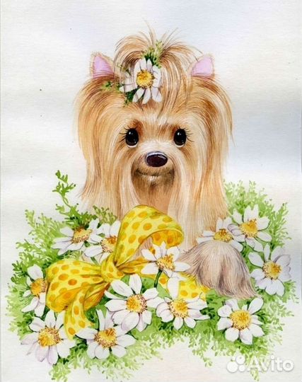 Стрижка собак породы Йоркширский терьер