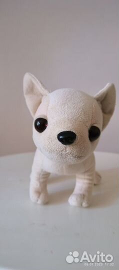 Собачка Chi chi love (забронирована до 25 июля)