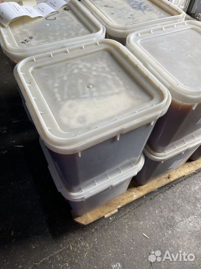 Эспарцетовый свежий натуральный мёд Оптом