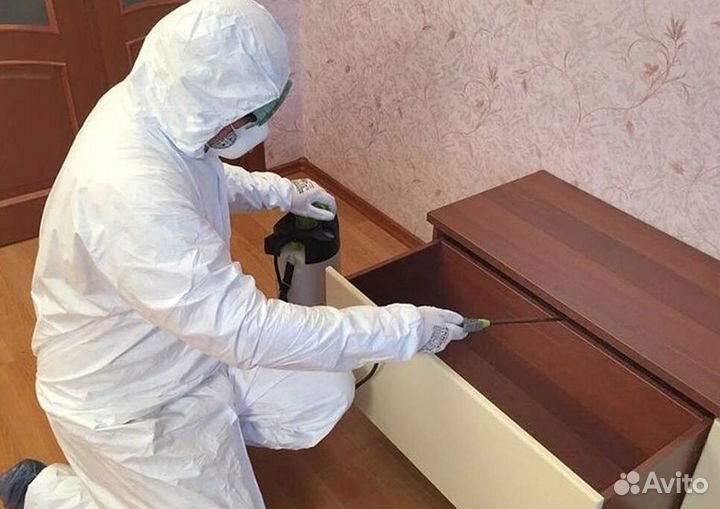 Средство для Уничтожения клопов Дезинсекции тараканов