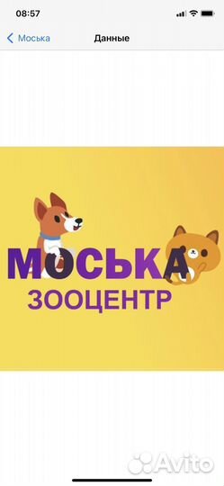 Грумер универсал