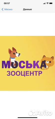 Грумер универсал
