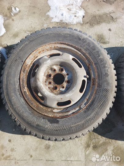 Nordman Nordman + 175/70 R14