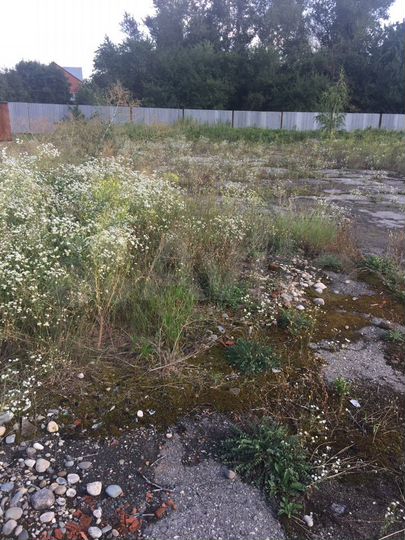 Участок 15 сот. (ИЖС)