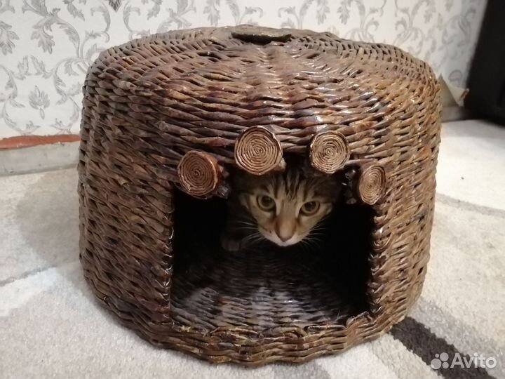 Домик для кошки