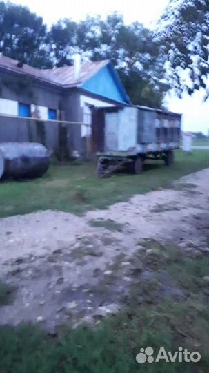 Пчелопавильон