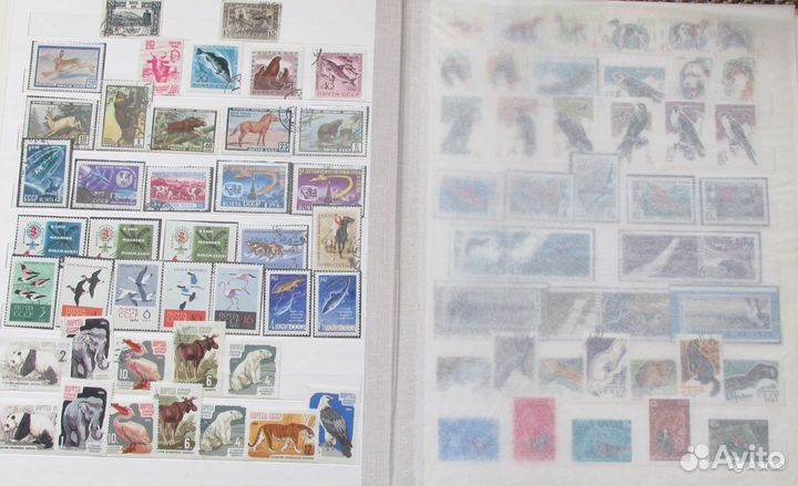 Альбомы с марками