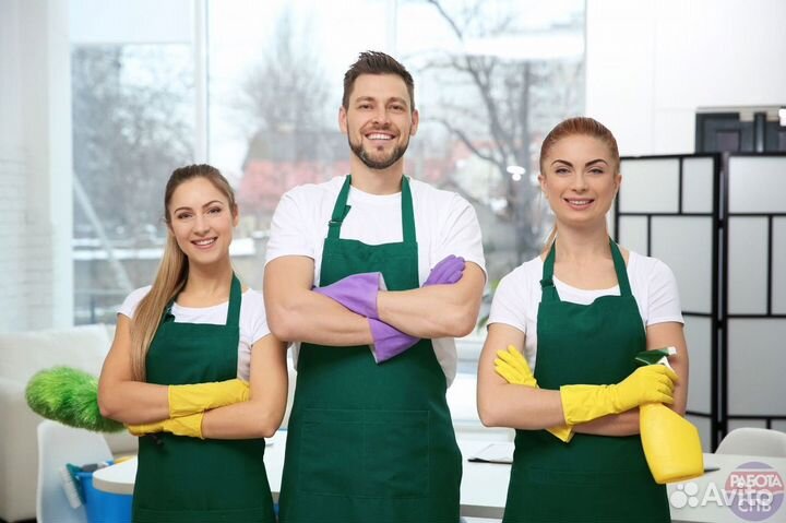 Профессиональный клининг