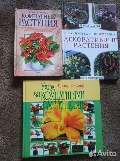 Комнатные и декоративные растения