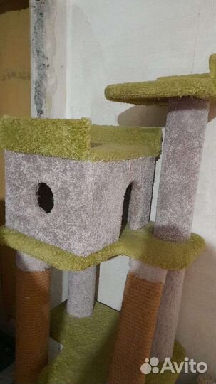 Когтеточка с домиком