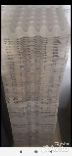 Лотки для яиц