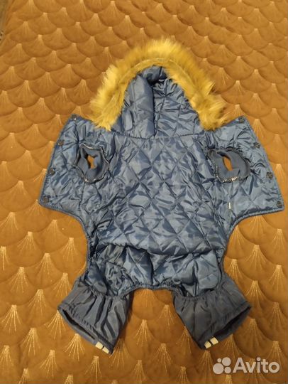 Комбинезон для собачки