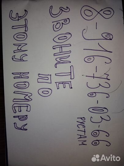 Коровы и телки стельные