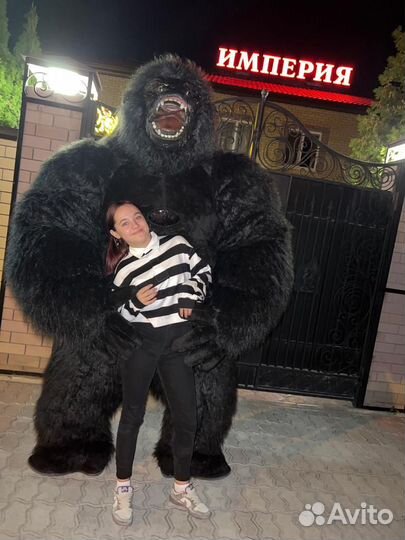 Белый Мишка/ростовая/кукла/экспресс поздравления