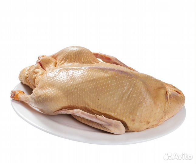 Утка домашняя мясо(муларды)