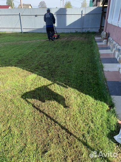 Подготовка газона к сезону, аэрация, скарификация