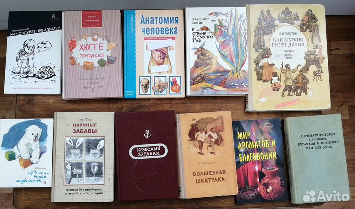 Среди огромной тайги. Иванов