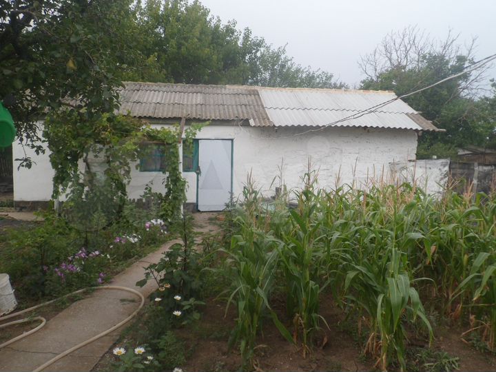 Дом 80 м² на участке 16 сот.