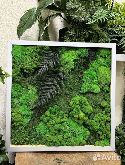Картина из стабилизированного мха