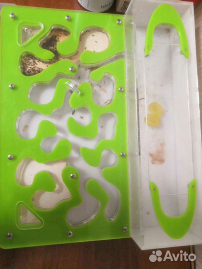 Формикарий муравьиная ферма с муравьями