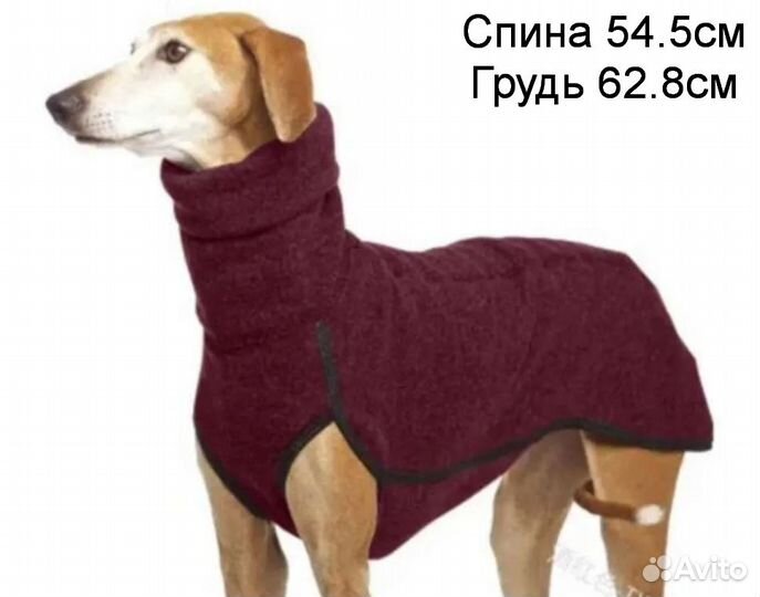 Шлейка рюкзак для собаки