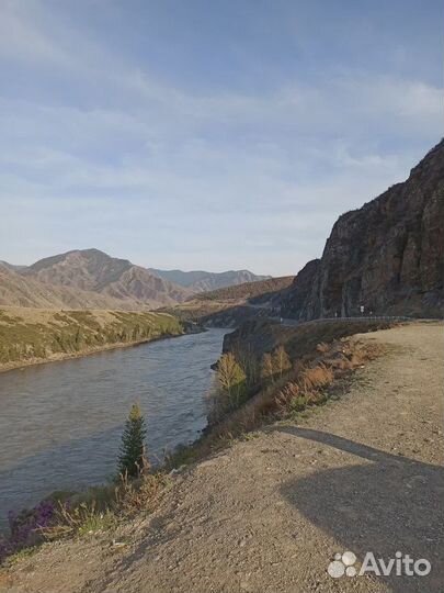 Тур на Алтай 