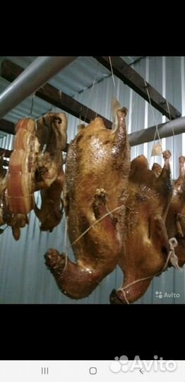 Домашнее копчение любого вида мяса+соление