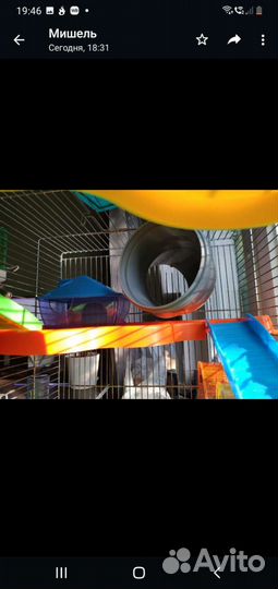 Клетка для грызунов очень большая