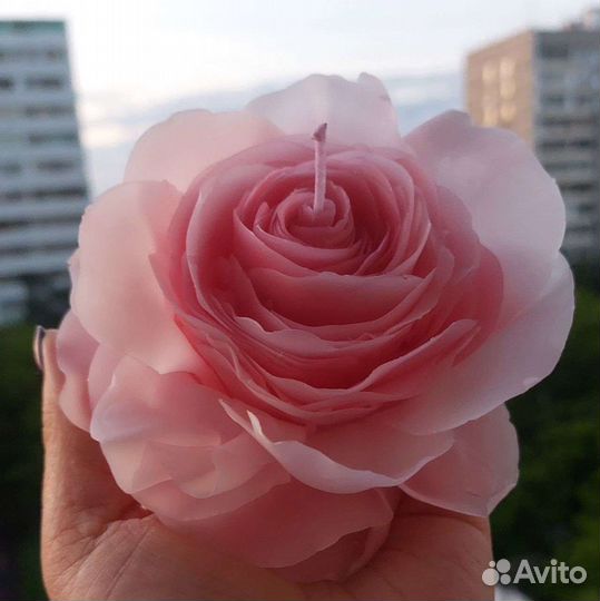 Пчелиный отбеленный воск