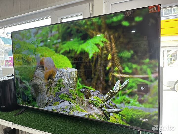 Телевизор TCL 50P637
