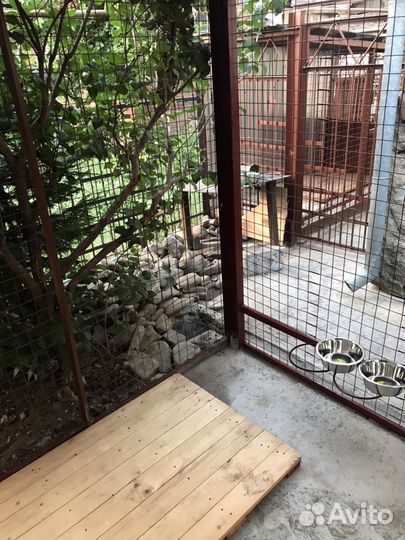 Гостиница для животных