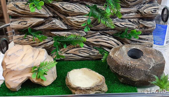 Террариум для эублефара