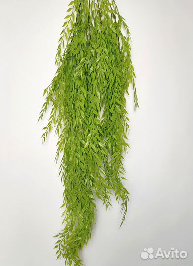 Растения для дизайна тилландсия мейт опт