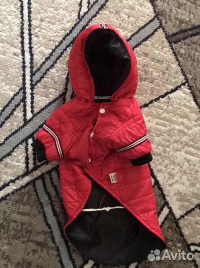 Собака#кошка#Одежда для животных