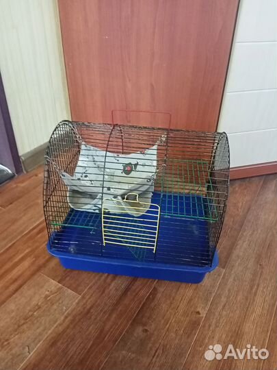 Клетка для хомяка