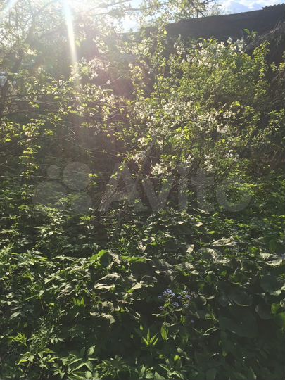 Участок 6,7 сот. (СНТ, ДНП)