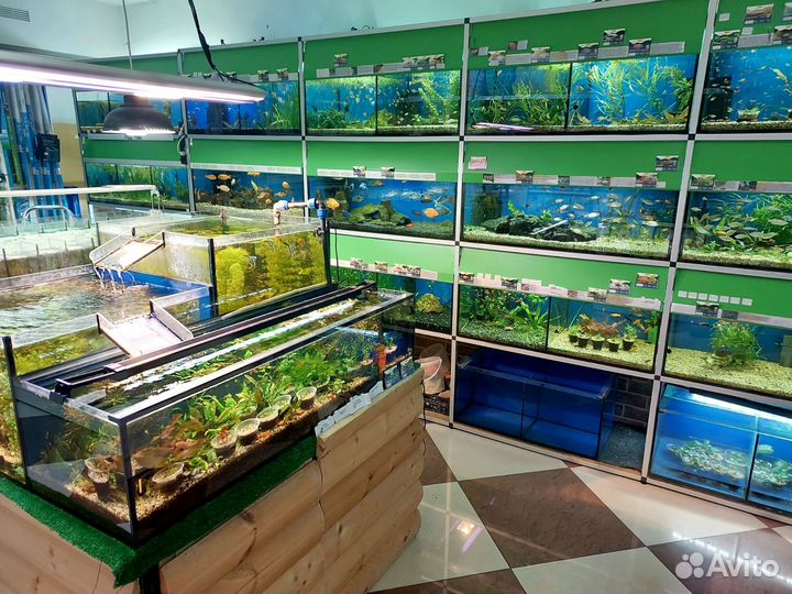 Обслуживание аквариумов