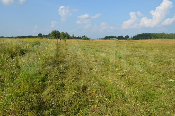 Участок 25 сот. (ИЖС)