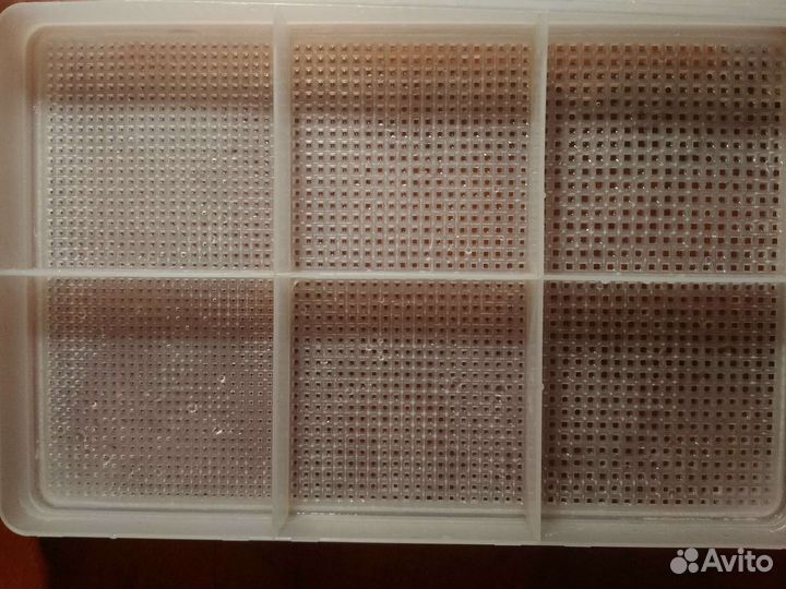 Лоток проращиватель для микрозелени