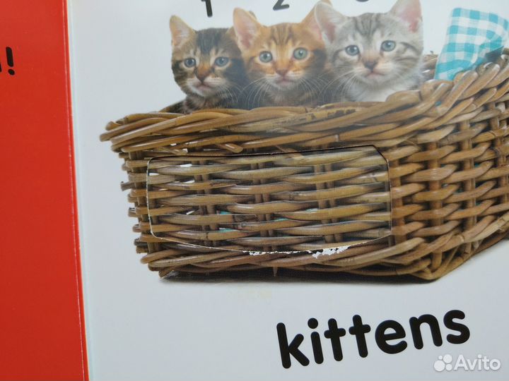 Тактильная книга для малышей